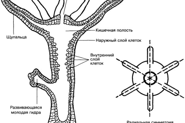 Кракен браузер