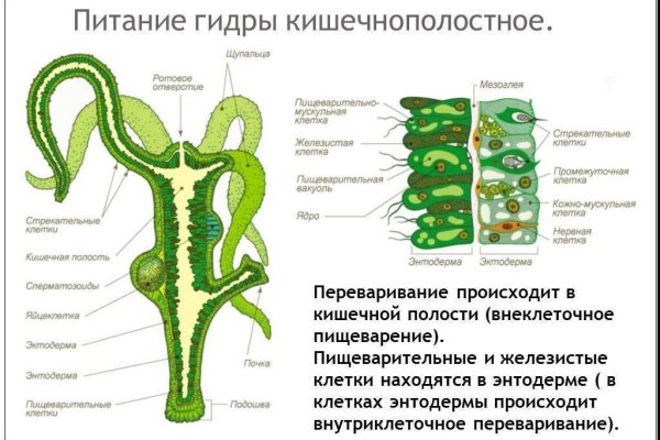 Что такое кракен шоп